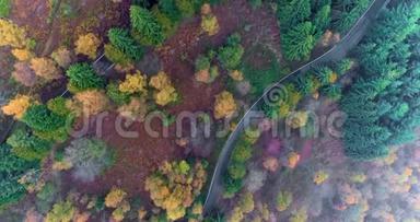头顶俯视簪弯翻路在乡秋林.. 秋天的橙，绿，黄红松树